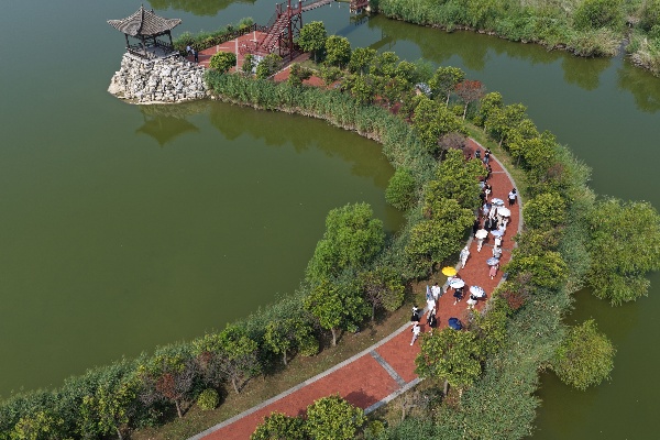 DJI_20250806095230_0704_D.JPG
