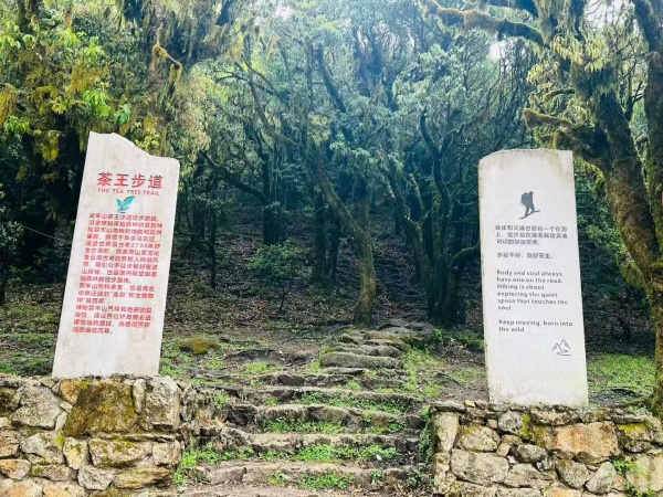 微信图片_20260427230853_360_414.jpg